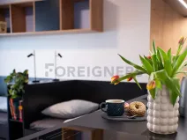 Pronájem bytu 1+kk, Olomouc, Edmunda Husserla, 27 m2
