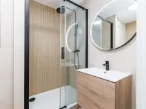 Prodej bytu 2+kk, České Budějovice, K. Chocholy, 48 m2