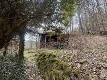 Prodej chaty, Děčín, Vítova, 16 m2