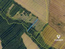 Prodej podílu pole, Mistřice, 1001 m2