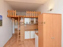 Pronájem bytu 1+kk, České Budějovice, Šumavská, 21 m2