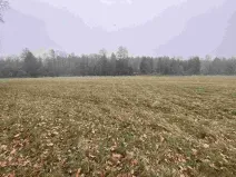 Prodej pozemku, Jindřichův Hradec - Horní Žďár, 16799 m2