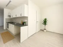Pronájem bytu 2+1, Litvínov, Mládežnická, 67 m2