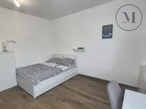 Pronájem bytu 1+kk, České Budějovice, Reinerova, 29 m2