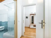 Prodej bytu 2+kk, Praha - Žižkov, Bořivojova, 72 m2