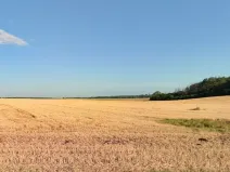 Prodej pozemku, Přepychy, 23564 m2