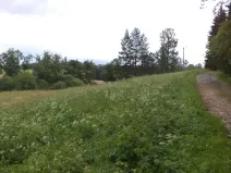 Dražba pozemku pro bydlení, Teplice nad Metují, 18922 m2