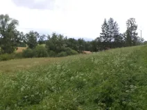 Prodej pozemku, Teplice nad Metují - Horní Teplice, 18922 m2