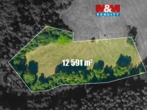 Prodej louky, Český Dub - Libíč, 12591 m2