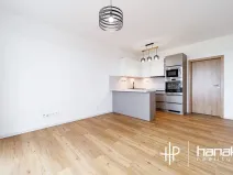 Pronájem bytu 1+kk, Olomouc, Aloise Rašína, 35 m2