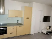 Prodej bytu 2+kk, Praha - Žižkov, Rečkova, 51 m2