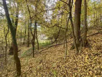 Prodej pozemku, Svijany, 2639 m2