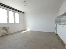 Pronájem bytu 1+1, Plzeň, Sokolovská, 40 m2
