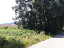 Prodej pozemku pro bydlení, Bouzov, 1296 m2