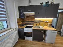 Pronájem bytu 2+1, Litvínov - Chudeřín, Chudeřínská, 47 m2