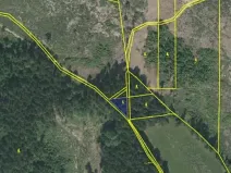 Prodej lesa, Načeradec, 450 m2