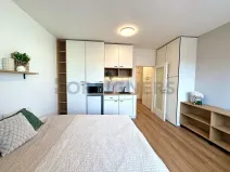 Pronájem bytu 1+kk, Brno, Cejl, 30 m2