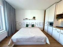 Pronájem bytu 1+kk, Brno, Cejl, 30 m2