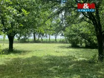 Prodej zahrady, Dobruška, Doly, 580 m2