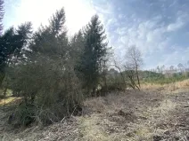 Prodej pozemku, Městečko Trnávka - Lázy, 384 m2