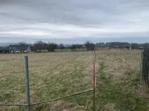 Dražba louky, Nový Oldřichov, 1550 m2