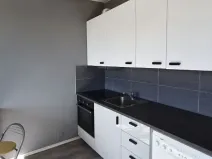Prodej bytu 1+1, Chomutov, Dřínovská, 36 m2