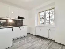 Prodej bytu 1+1, Teplice, Ruská, 30 m2