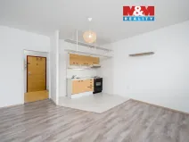 Prodej bytu 2+kk, Ústí nad Labem, Šrámkova, 40 m2