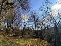 Prodej zahrady, Bílovice nad Svitavou, 589 m2