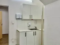 Pronájem skladu, Plzeň, Zikmunda Wintra, 520 m2