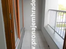 Pronájem bytu 2+kk, Hradec Králové, Kollárova, 55 m2