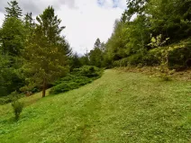 Prodej chaty, Číhošť, 75 m2