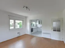 Pronájem vily, Praha - Nebušice, V březinkách, 365 m2