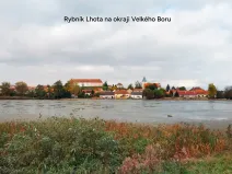 Prodej lesa, Velký Bor, 16139 m2