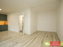 Pronájem bytu 1+kk, Praha - Strašnice, Štěchovická, 45 m2