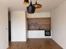 Pronájem bytu 2+kk, Dubňany, Hornická, 36 m2