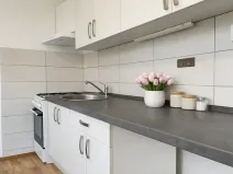 Pronájem bytu 4+1, Litvínov, Studentská, 80 m2