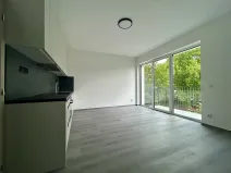 Pronájem bytu 2+kk, Milovice, Kaštanová, 49 m2