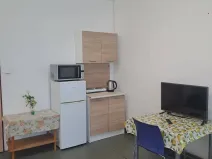 Pronájem bytu 1+kk, Hranice - Hranice I-Město, Potštátská, 40 m2