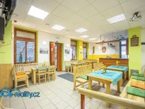 Prodej komerční nemovitosti, Slatina nad Zdobnicí, 572 m2