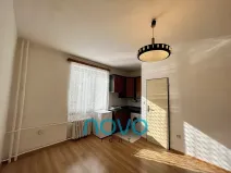 Pronájem bytu 1+kk, Praha - Hloubětín, Zelenečská, 21 m2