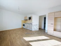 Pronájem bytu 1+1, České Budějovice, 44 m2