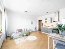 Prodej bytu 1+kk, Praha - Holešovice, V háji, 31 m2
