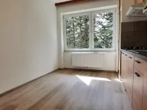 Pronájem bytu 4+1, Brno, Bohuslava Martinů, 95 m2