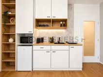 Pronájem bytu 1+kk, Brno, Cejl, 29 m2