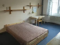 Pronájem bytu 1+kk, Praha - Dejvice, Generála Píky, 20 m2