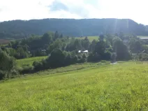 Prodej pozemku, Dolní Dobrouč, 34731 m2