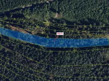 Dražba lesa, Loučka, 3720 m2