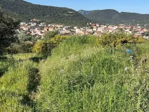 Prodej pozemku pro bydlení, Teulada, Itálie, 300 m2