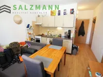Pronájem bytu 1+1, Dýšina, K Chlumu, 42 m2
